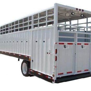 2020 NEVILLE LIVESTOCK