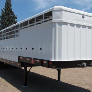 2020 NEVILLE LIVESTOCK