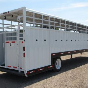 2020 NEVILLE LIVESTOCK