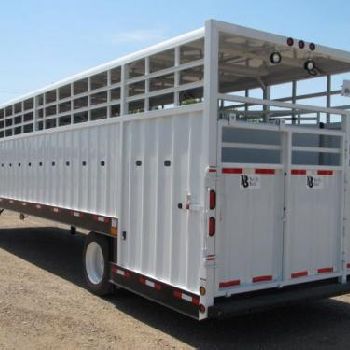 2020 NEVILLE LIVESTOCK